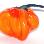 Escala Scoville